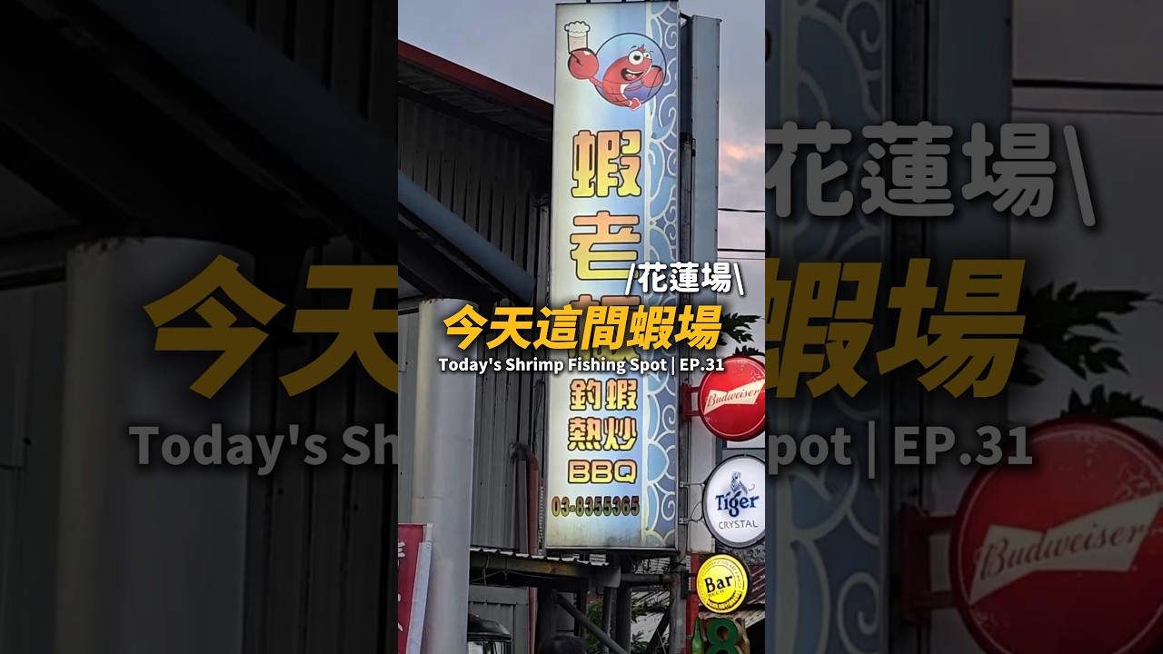 今天這間蝦場EP.31【MLS蝦戰天下】#17shrimp #台湾のエビ釣り #shrimpfishing #새우낚시