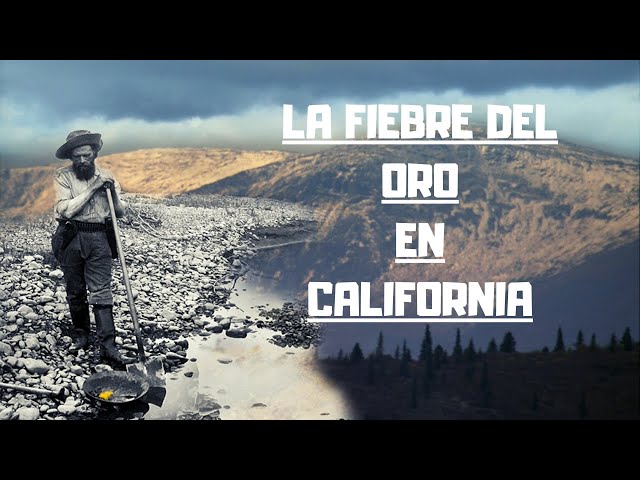 Video Aussprache von ORO ORO in Italienisch Video Aussprache von ORO ORO in Italienisch