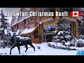 Heavy Snowfall In Banff Alberta Canada Freezing Winter Banff Walking Tour 4K UHD Part I
