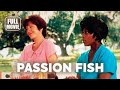 ️ Drama Movie Passion Fish 1992 English Full Movie Watch Boldly