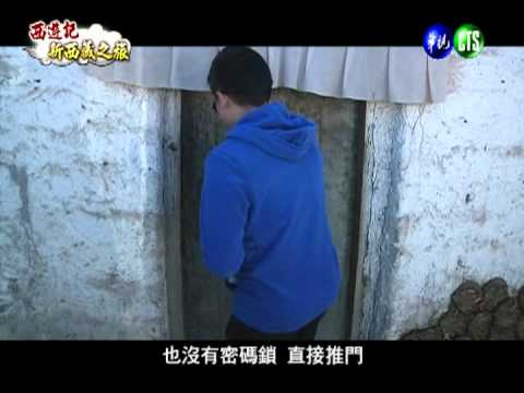 收青稞餵乳牛 體會藏族待客之道!