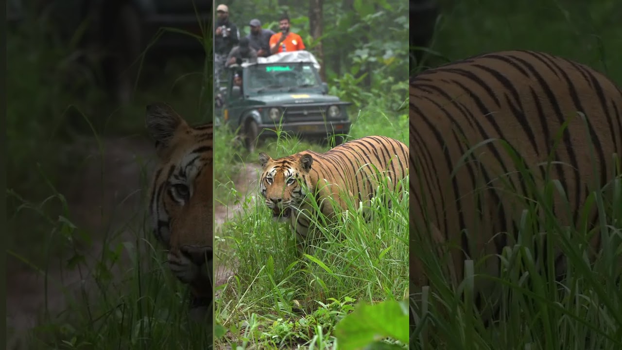 Madhya Pradesh Travel Mart 2025 | Where Heritage, Wildlife & Culture Converge | Bhopal