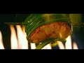 Cook Up A Storm Grilled Grouper With Shallots VS Giant Grouper Wrapped In Paper