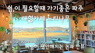 4K 복잡한데는 싫지만 대형카페는 가고싶을때 가기좋은 서울근교 파주 고즈넉하고 사색하기 좋은 대형카페 느티나무