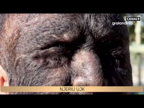 Grolandinfo du 11/01/2020 - Groland - CANAL+