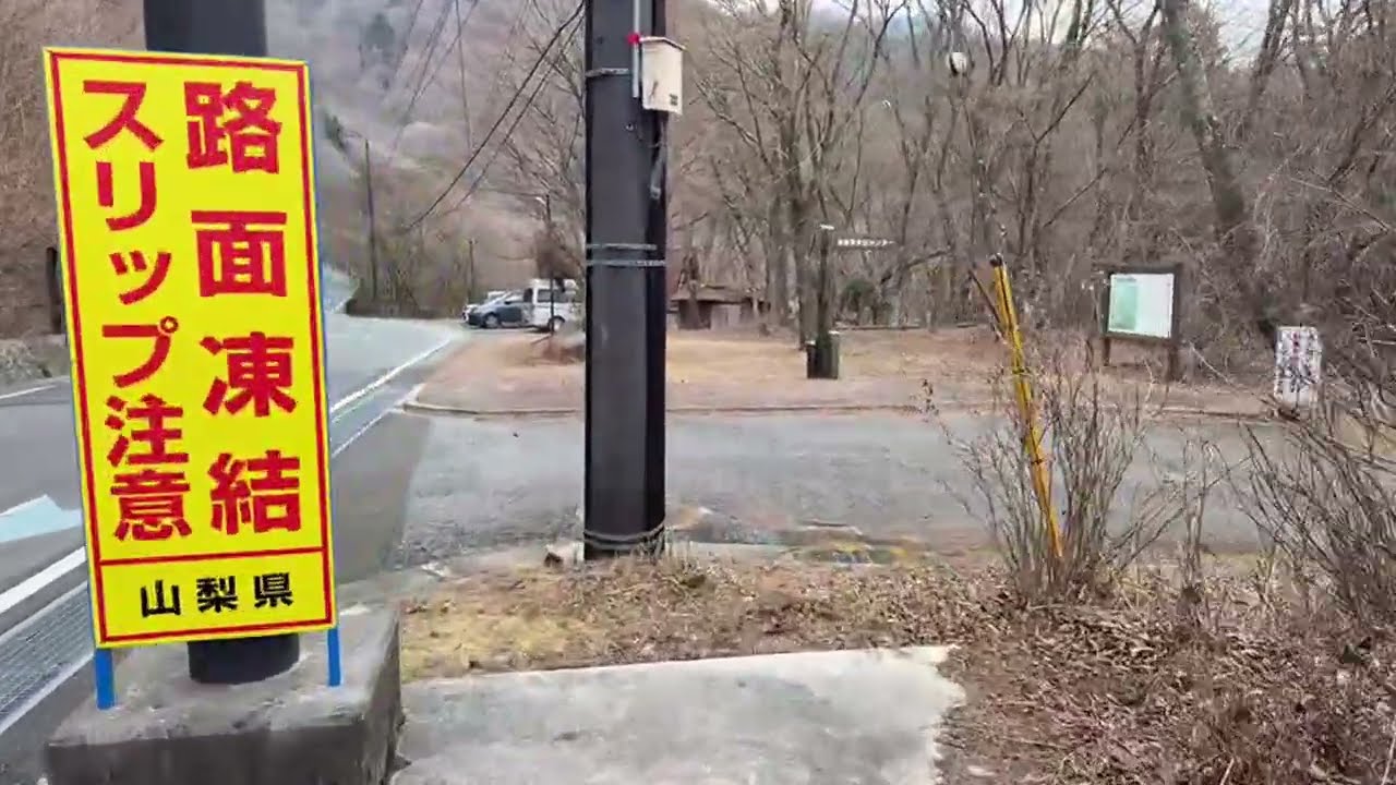 死ぬほど癒される樹海…