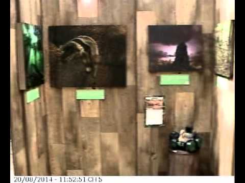 Exposição Brasil Selvagem