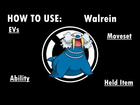 Competitive Guides- How To Use Walrein