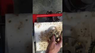 2009 Toyota Corolla engine noise rattle on start up