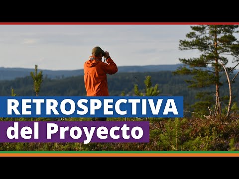 PROJECT RETROSPECTIVE Meeting 🪁 Agile Methodologies | SCRUM