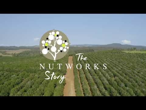 Nutworks
