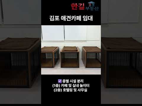 유튜브 쇼츠 썸네일