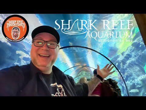 ???? SHARK REEF AQUARIUM AT MANDELAY BAY LAS VEGAS