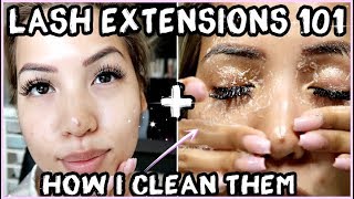 EVERYTHING YOU NEED TO KNOW ABOUT LASH EXTENSIONS + HOW I CLEAN THEM