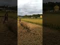 Uji Coba Mesin Babat Sorong Sistem Sorong Ringan Part 3