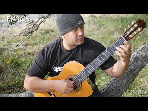 Study in E minor | Francisco Tarrega | Classical Guitar Lesson | NBN Guitar
