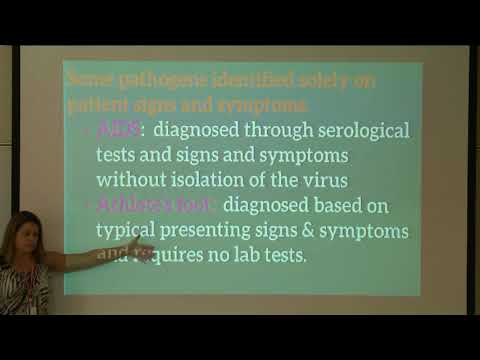 Chapter 17 (Part 1): Diagnosing infections