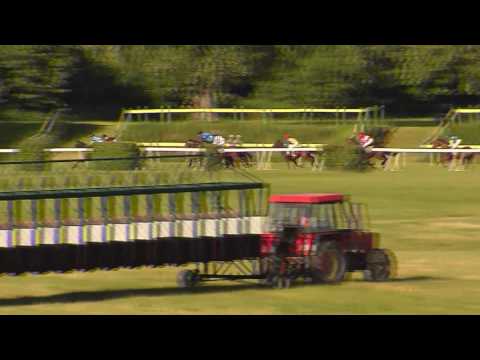 TOP 11.06.2017 - Dostihy 7 - Cena obce Hostie