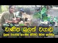 වාණිජ බුලත් වගාව Commercial Betel Cultivation කෘෂි උපදේ�