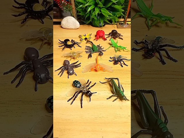 Vídeo relacionado con Growithu Kit de Caza de bichos para niños: 23 Piezas de Caza de bichos para niños Juguetes de exploración al Aire Libre para 3 4 5 6 7 años de Edad