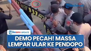 Detik-detik Demo Pecah di Indramayu, Warga Lempari Ular ke Pendopo Kesal Tak Bisa Ketemu Lucky Hakim