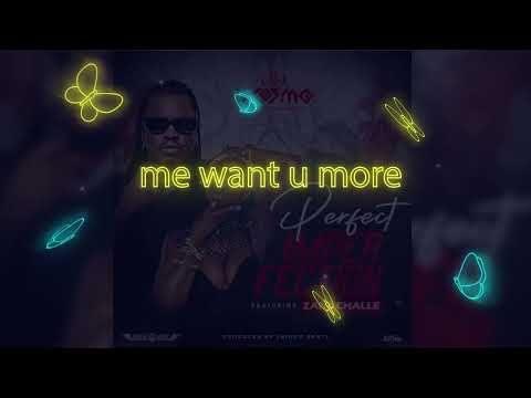 DJ Cosmo ft Zani Challe - Perfect Imperfection {Lyric Video}