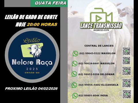 LEILÃO NELORE RAÇA CRIXAS-GO