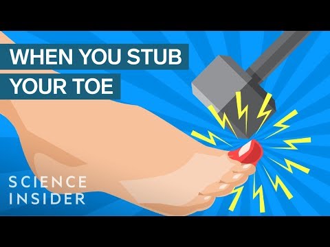 Why Stubbing Your Toe Hurts So Much Video