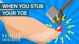 Why Stubbing Your Toe Hurts So Much