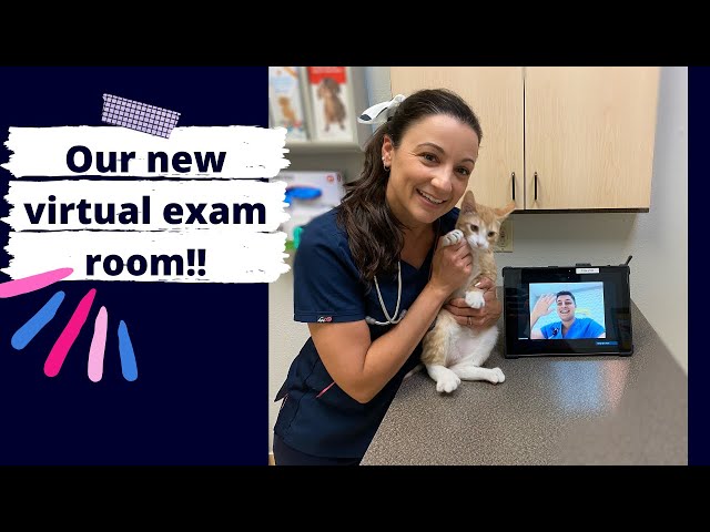We’ve Got An Exciting New Way For You To Be A Part Of Your Pets Visit! Our New Virtual Exam Room!