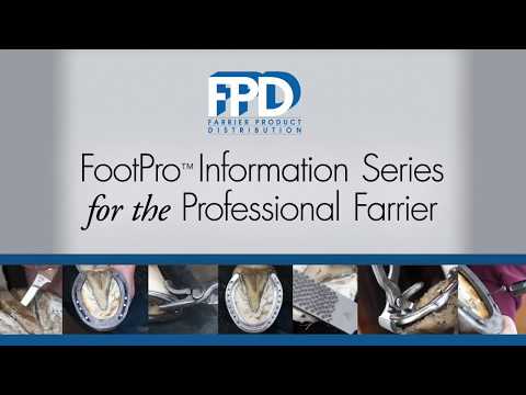 Kerckhaert SX-8: FPD Clinician Jake Engler, CJF at the 2017 D.S. Horseshoe Supply Clinic