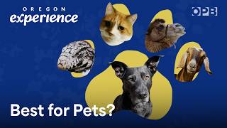 How Oregon became so pet-friendly | Oregon Experience