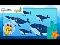 Swimming Home With Humpback Whales Song NEW Ocean Explorers Baby Einstein Toddler Kids Cartoon