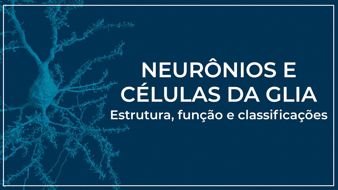 Neurônios e Células da glia: Estruturas, funções e classificações