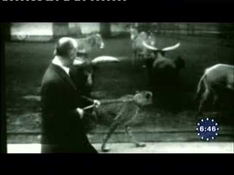 Ein Platz für Tiere mit Prof Grzimek