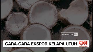 Download lagu Gara Gara Ekspor Kelapa Utuh mp3 Download lagu Gara Gara Ekspor Kelapa Utuh mp3
