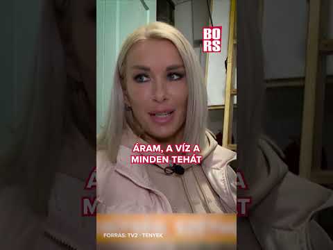 Molnár Anikó már nem bírja tovább! #bors #molnaraniko #haziallat #macska #kaosz