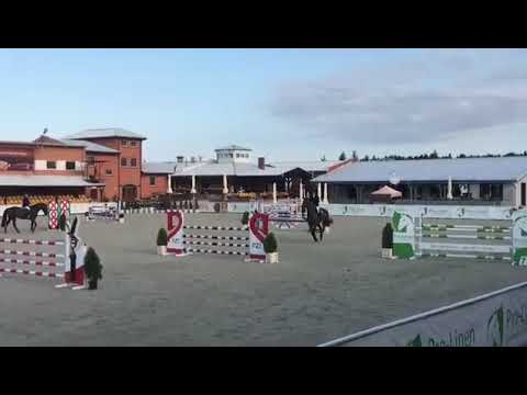 Agadir van de Pikkerie Z - SCPMK konkurs 125 cm Olsza 2021