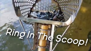 RING! OLD COINS! Metal Detecting a lake in MI.