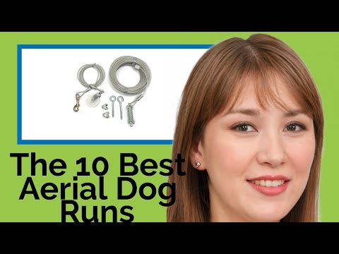 👉 The 10 Best Aerial Dog Runs 2020  (Review Guide)