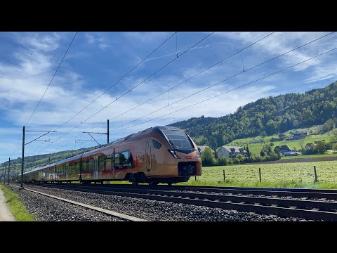 SOB Treno Gottardo Locarno - Basel SBB