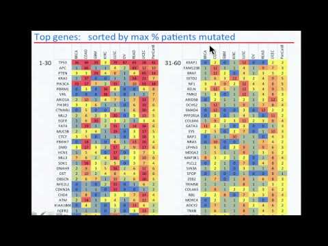 TCGA: Analysis of Somatic Mutations Across Many Tumor Types - Petar Stojanov