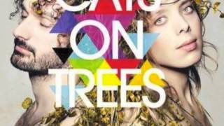 You win - Cats on trees