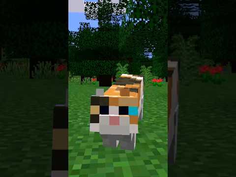 "FREAKY: Creepers Terrified of Cats in Minecraft?!" #shorts