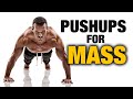 Muscle-Building Progressive Push Up Program (COMPLETE BEGINNER'S GUIDE)
