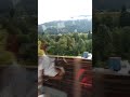 Lets See The Beautiful Road And Green Tree Italy