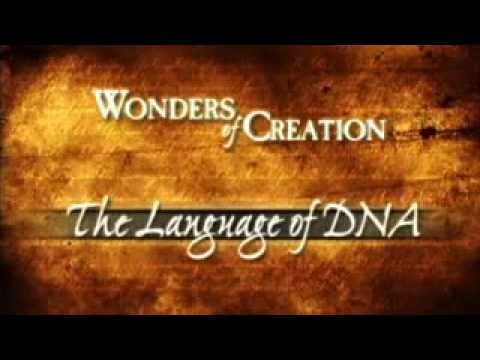 Wonders of Creation  - DNA