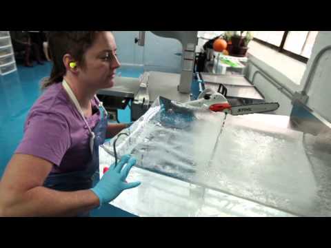 Making the perfect ice for the perfect cocktail