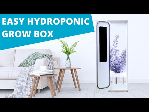 Grobo - Automated Grow Box