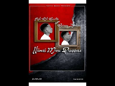 Official lyrical video-Niinzi mwa pressure By RichKid Barotse Ft Brizzy